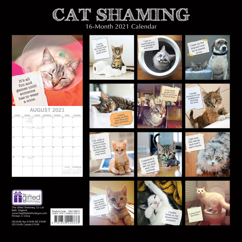 Cat Shaming 2021 Square Wall Calendar 16 Month By Gifted Stationery 0 cat shaming wall calendar 2021