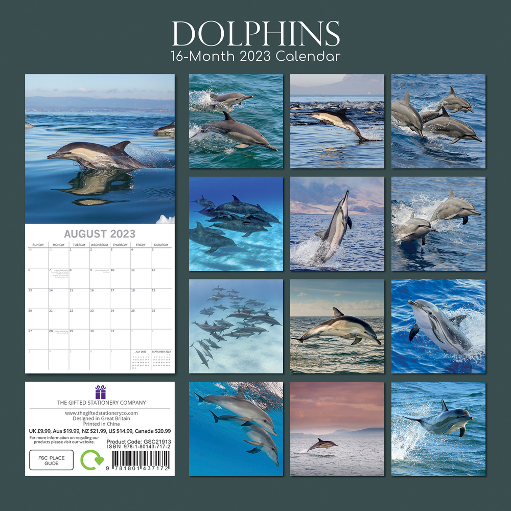 dolphins-2023-square-wall-calendar-16-month-by-gifted-stationery
