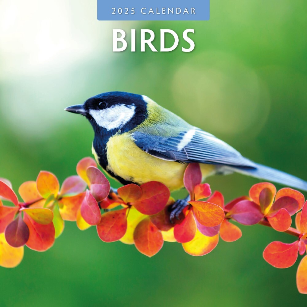 Birds 2025 Square Wall Calendar 16 month by Red Robin Red Robin Publishing
