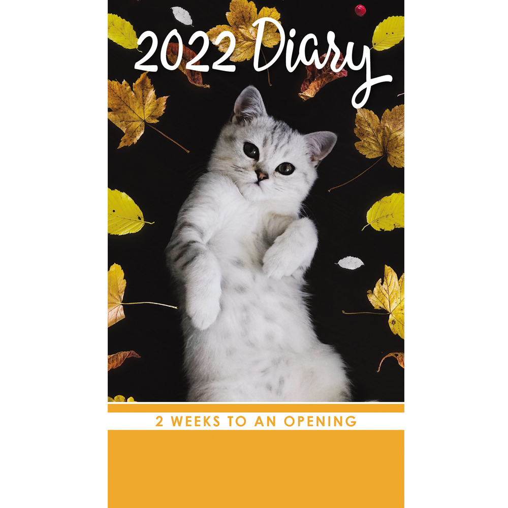 Week To View CAT Cats & Kittens A5 Diary 2023 