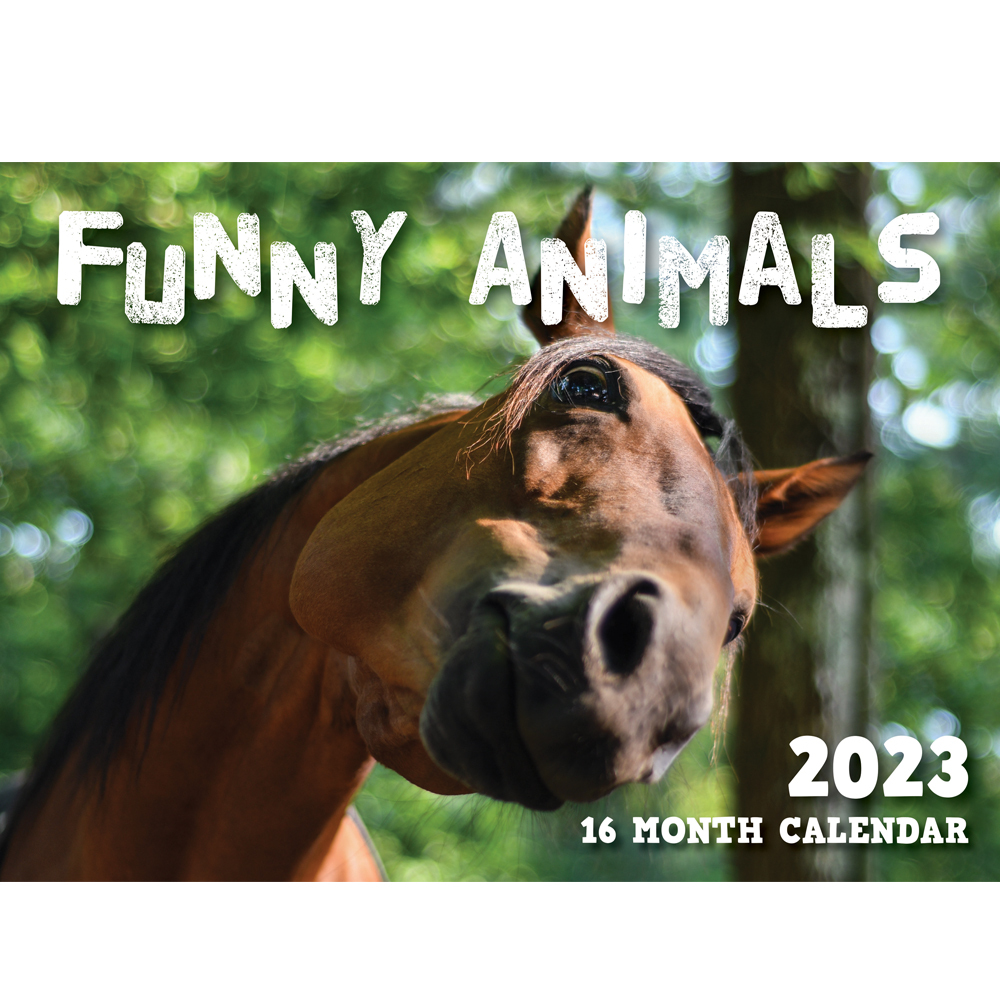 2023 Funny Wall Calendar