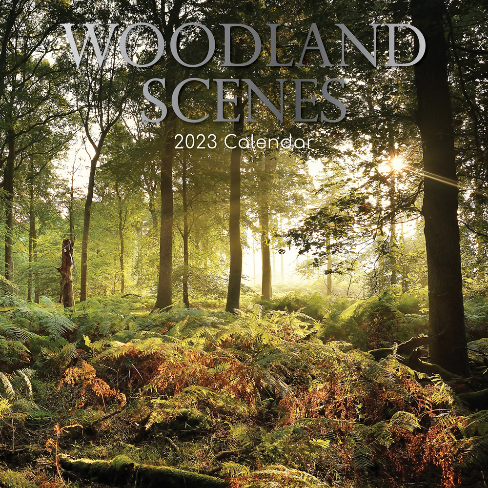 Woodland Scenes - 2023 Square Wall Calendar 16 month by Gifted Stationery