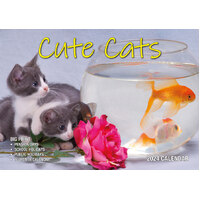 Cute Cats  - 2024 Rectangle Wall Calendar 13 Months by Bartel