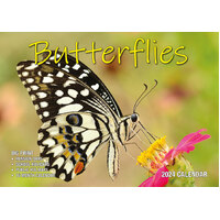 Butterflies  - 2024 Rectangle Wall Calendar 13 Months by Bartel