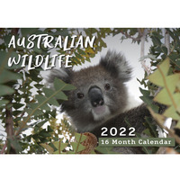 Australian Wildlife - 2022 Rectangle Wall Calendar 16 Months by IG Design 