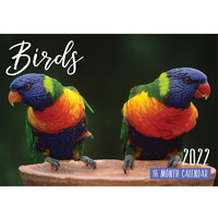 Birds - 2022 Rectangle Wall Calendar 16 Months by IG Design 