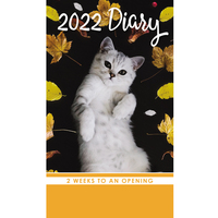 Cats & Kittens - 2022 Pocket Diary Planner 2 Week View 90x155mm by IG Design
