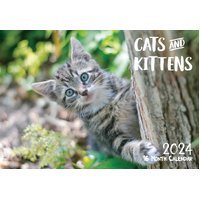 Cats & Kittens - 2024 Rectangle Wall Calendar 16 Months by Biscay