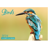 Birds - 2024 Rectangle Wall Calendar 16 Months by Design Group