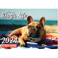 It's A Dog's Life - 2024 Rectangle Wall Calendar 16 Months by Design Group