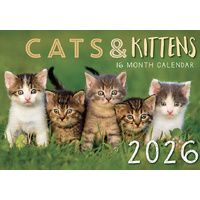 Cats And Kittens - 2026 Rectangle Wall Calendar 16 Months by Design Group