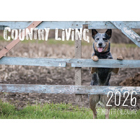 Country Living - 2026 Rectangle Wall Calendar 16 Months by Design Group