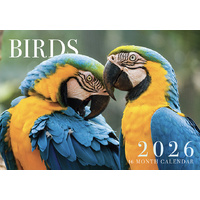 Birds - 2026 Rectangle Wall Calendar 16 Months by Design Group