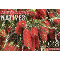 Australian Natives - 2026 Rectangle Wall Calendar 16 Months by Design Group