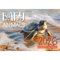 Baby Animals - 2026 Rectangle Wall Calendar 16 Months by Design Group
