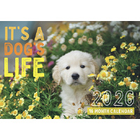 ItS A Dogs Life - 2026 Rectangle Wall Calendar 16 Months by Design Group