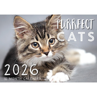 Purfect Cats - 2026 Rectangle Wall Calendar 16 Months by Design Group