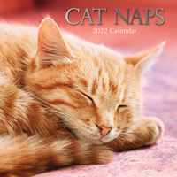 Cat Naps  - 2022 Square Wall Calendar 16 month by Gifted Stationery