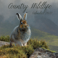 Country Wildlife - 2022 Square Wall Calendar 16 month by Gifted Stationery