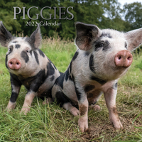 Piggies - 2022 Square Wall Calendar 16 month by Gifted Stationery