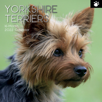 Yorkshire Terriers - 2022 Square Wall Calendar 16 month by Gifted Stationery