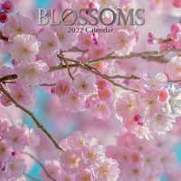 Blossoms - 2022 Square Wall Calendar 16 month by Gifted Stationery