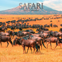 Safari - 2022 Square Wall Calendar 16 month by Gifted Stationery