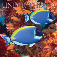Under the Sea - 2022 Square Wall Calendar 16 month by Gifted Stationery