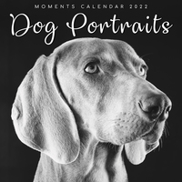 Dog Portraits - 2022 Square Wall Calendar 16 month by Gifted Stationery