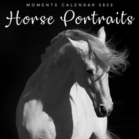Horse Portraits - 2022 Square Wall Calendar 16 month by Gifted Stationery