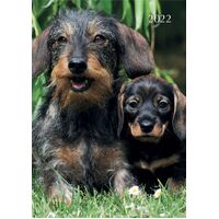 Dogs & Puppies - 2022 Diary Planner A5 Padded Cover by The Gifted Stationery
