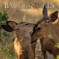 Baby Animals - 2024 Square Wall Calendar 16 month by Gifted Stationery (16)
