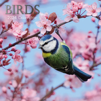 Birds - 2024 Square Wall Calendar 16 month by Gifted Stationery (4)