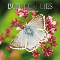 Butterflies - 2024 Square Wall Calendar 16 month by Gifted Stationery (11)