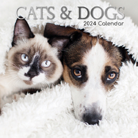 Cats & Dogs - 2024 Square Wall Calendar 16 month by Gifted Stationery (15)
