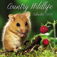 Country Wildlife - 2024 Square Wall Calendar 16 month by Gifted Stationery (22)