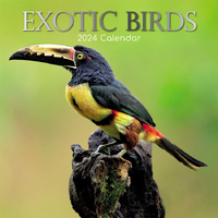 Exotic Birds - 2024 Square Wall Calendar 16 month by Gifted Stationery (13)