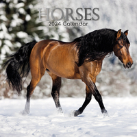 Horses - 2024 Square Wall Calendar 16 month by Gifted Stationery (24)