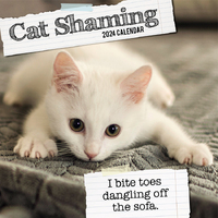 Cat Shaming - 2024 Square Wall Calendar 16 month by Gifted Stationery (4)
