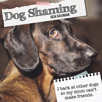 Dog Shaming - 2024 Square Wall Calendar 16 month by Gifted Stationery (16)