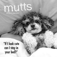 Mutts - 2024 Square Wall Calendar 16 month by Gifted Stationery (9)