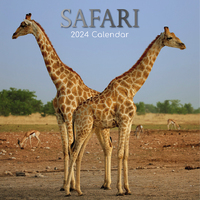 Safari - 2024 Square Wall Calendar 16 month by Gifted Stationery (22)