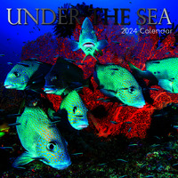Under the Sea - 2024 Square Wall Calendar 16 month by Gifted Stationery (11)