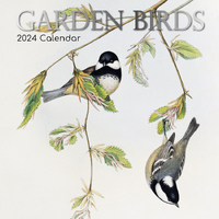 Garden Birds - 2024 Square Wall Calendar 16 month by Gifted Stationery (19)