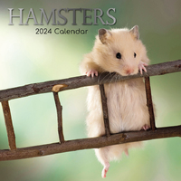 Hamsters - 2024 Square Wall Calendar 16 month by Gifted Stationery (2)