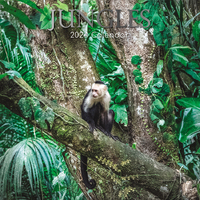 Jungles - 2024 Square Wall Calendar 16 month by Gifted Stationery (3)