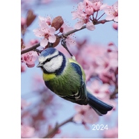 Birds - 2024 Diary Planner A5 Padded Cover by The Gifted Stationery