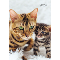 Cats & Kittens - 2024 Diary Planner A5 Padded Cover by The Gifted Stationery