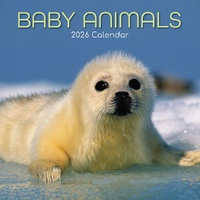 Baby Animals - 2026 Gifted Stationery Wall Calendar Monthly Planner Wildlife