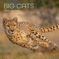 Big Cats - 2026 Gifted Stationery Wall Calendar Majestic Feline Photography